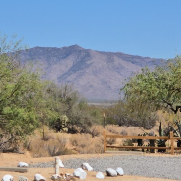 Explore the Public Land Access at North Ranch RV Park