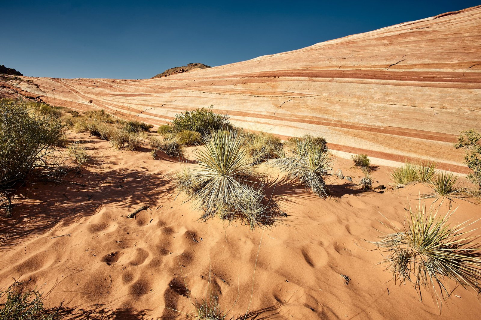 Sunny scenery of the Valley of Fire State Park in Nevada, USA